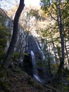 The area of Boyana waterfall